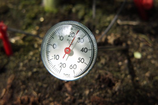 Soil Thermometer