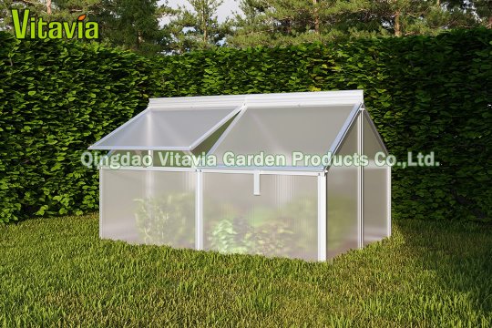 Gaia Jumbo